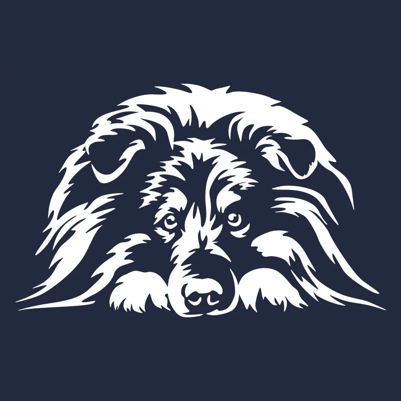 Sheltie "Black Edition"