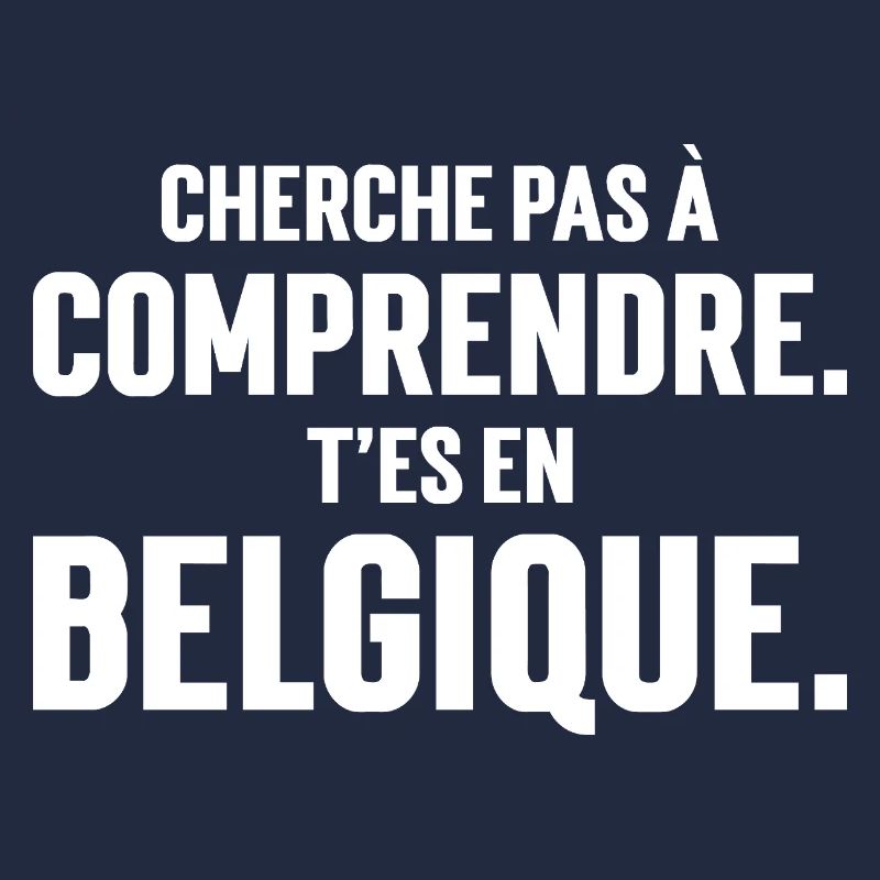 CHERCHE PAS A COMPRENDRE. T'ES EN BELGIQUE,