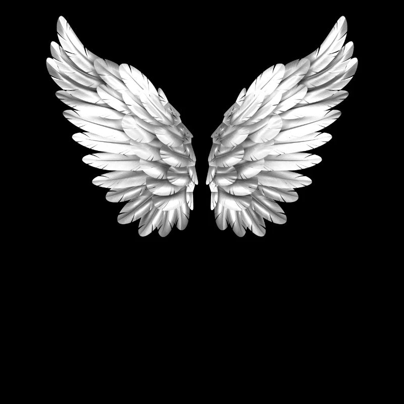 Ailes angéliques ailes anges aile blanc blanc