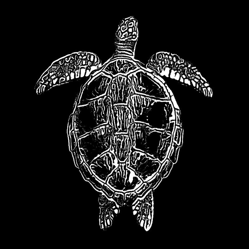 Tortue blanche