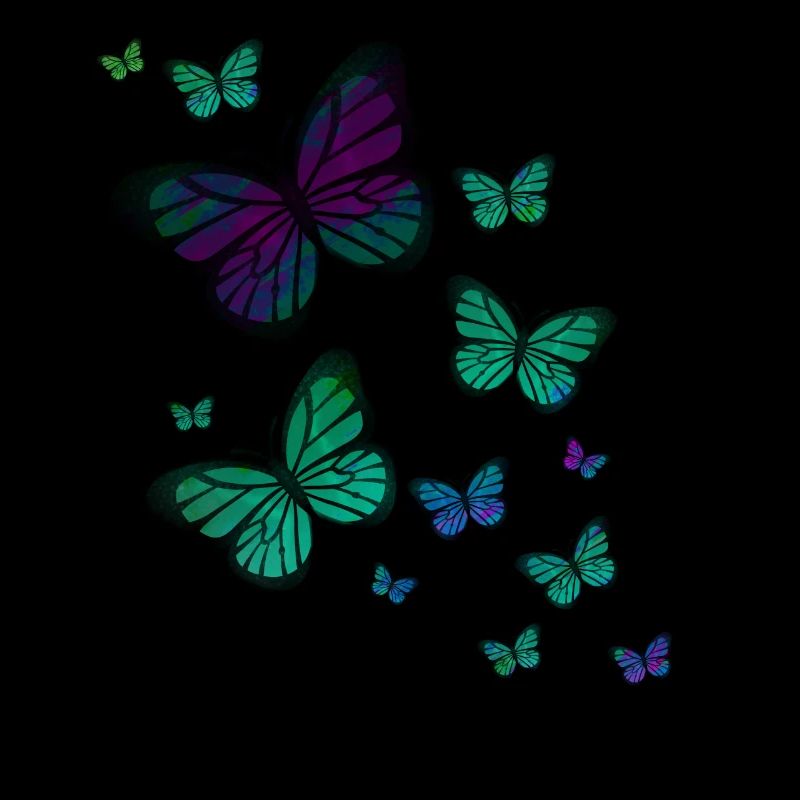 papillon papillon animal coloré couleur
