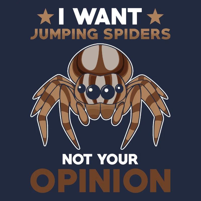 Dicton Jumping Spider