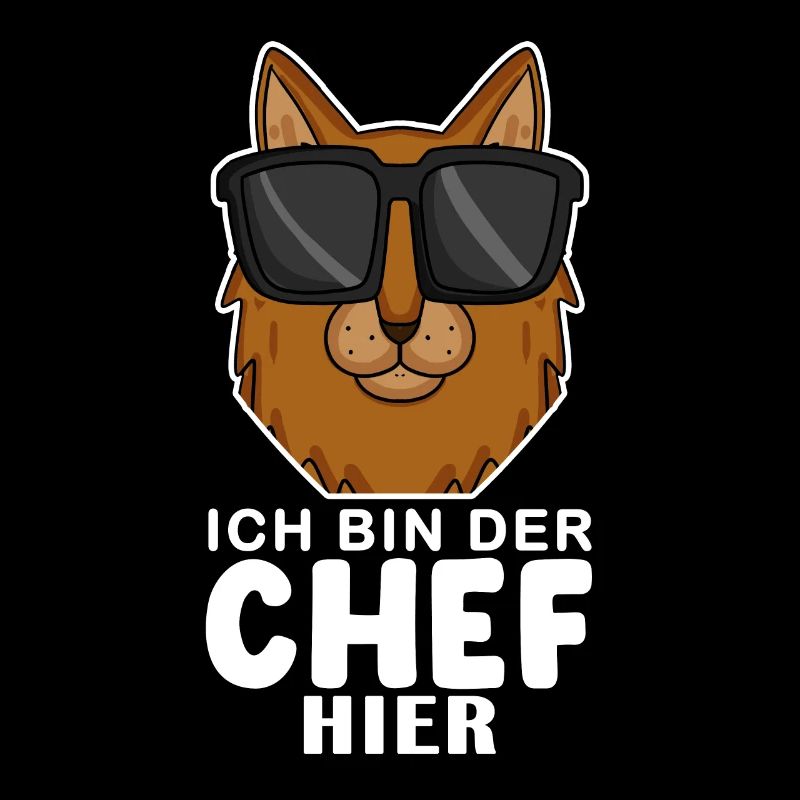 coole Katze - Somali Katze Spruch