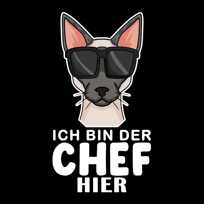 coole Katze - Siamkatze Spruch
