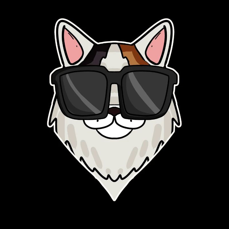 Chat cool avec des lunettes de soleil - race de chat turquoise