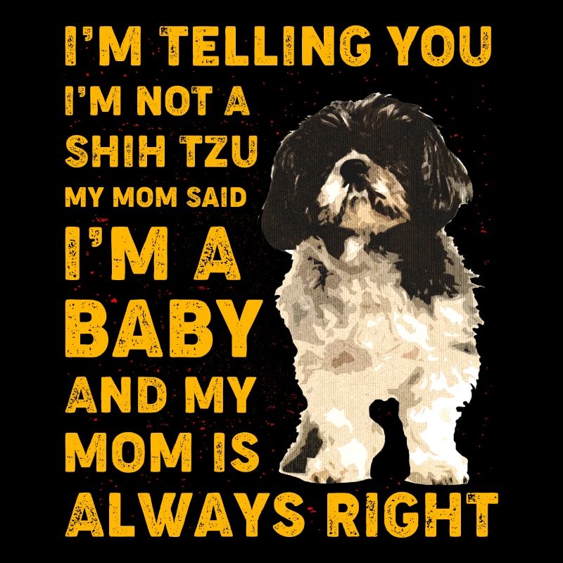 Shih Tzu