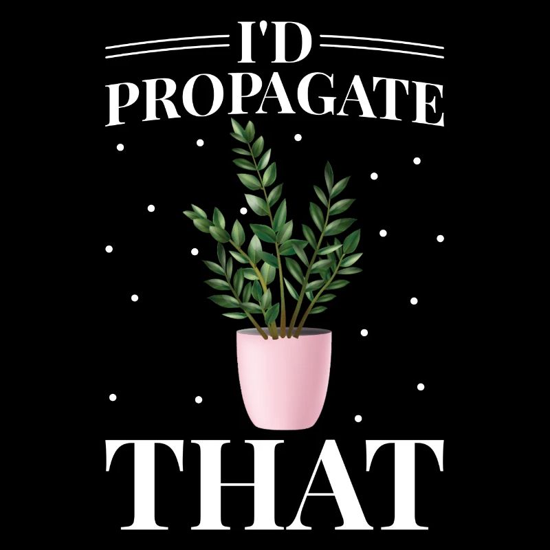 Zamioculcas plant lovers I would recommend this