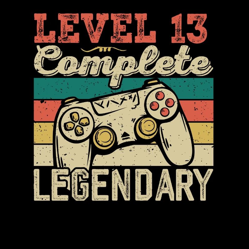 Level 13 Complete, 13 Year Old Birthday Gift