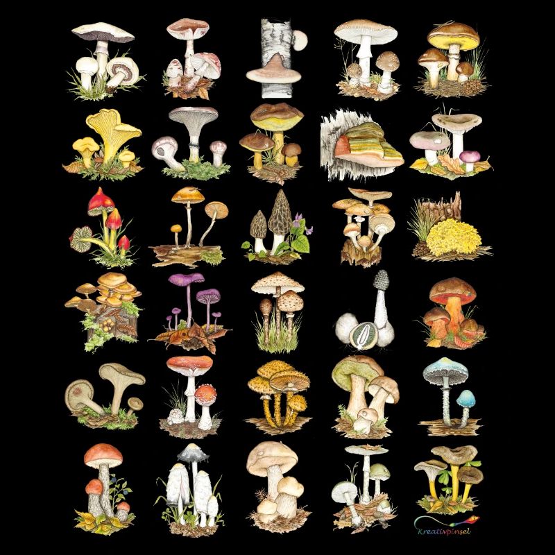Mushroom Diversity