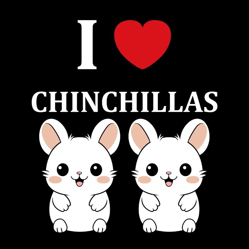 Petit chinchilla mignon