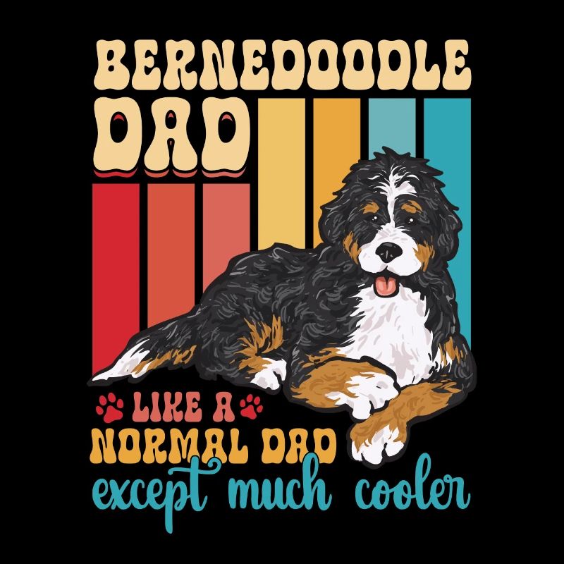 Bernedoodle Hund