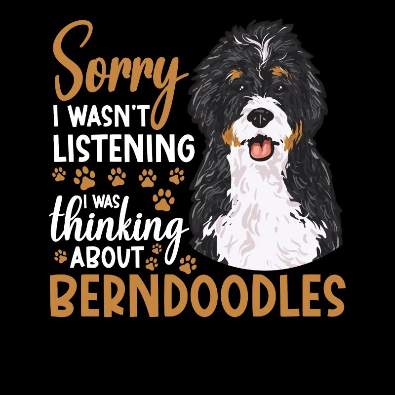 Bernedoodle Hund