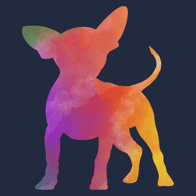 Regenbogen Chihuahua