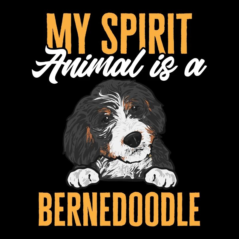 Bernedoodle Hund