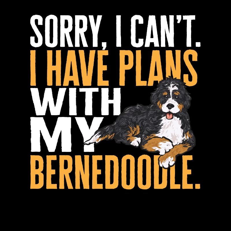 Bernedoodle Hund
