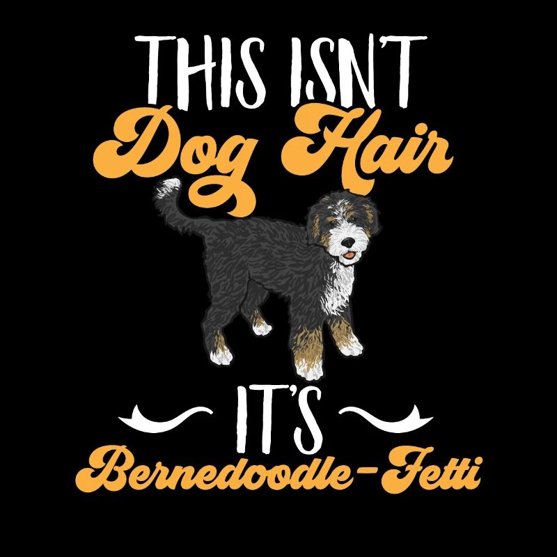 Bernedoodle Hund