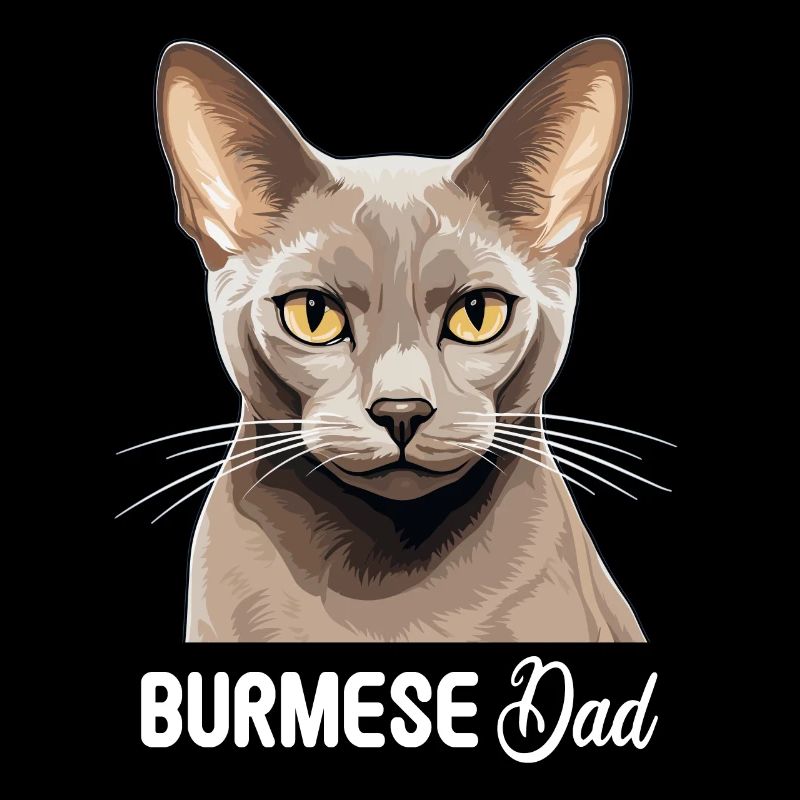 Chat birman Birmanie Katze