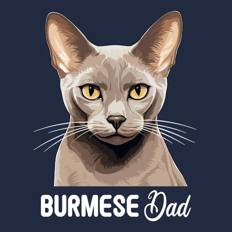 Chat birman Birmanie Katze