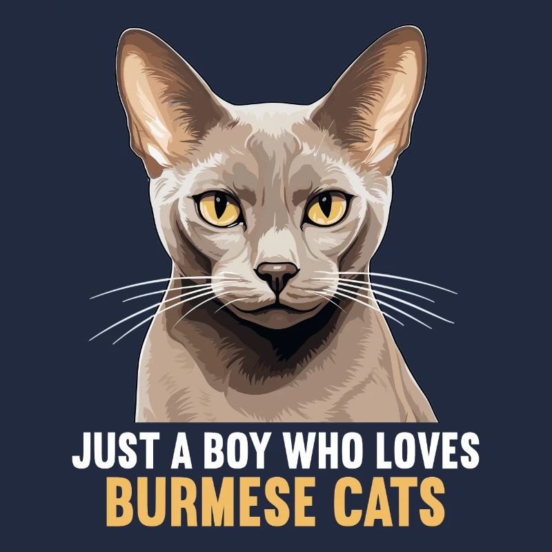 Burmese Cat Burma Katze