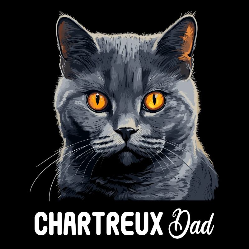 Chat Chartreux Chat Chartreux