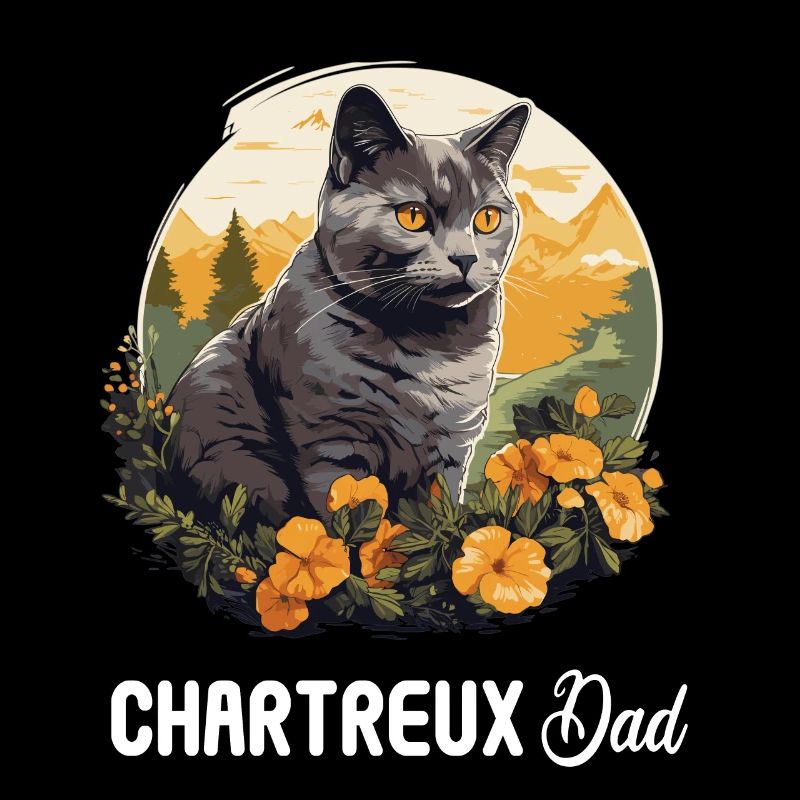 Chat Chartreux Chat Chartreux