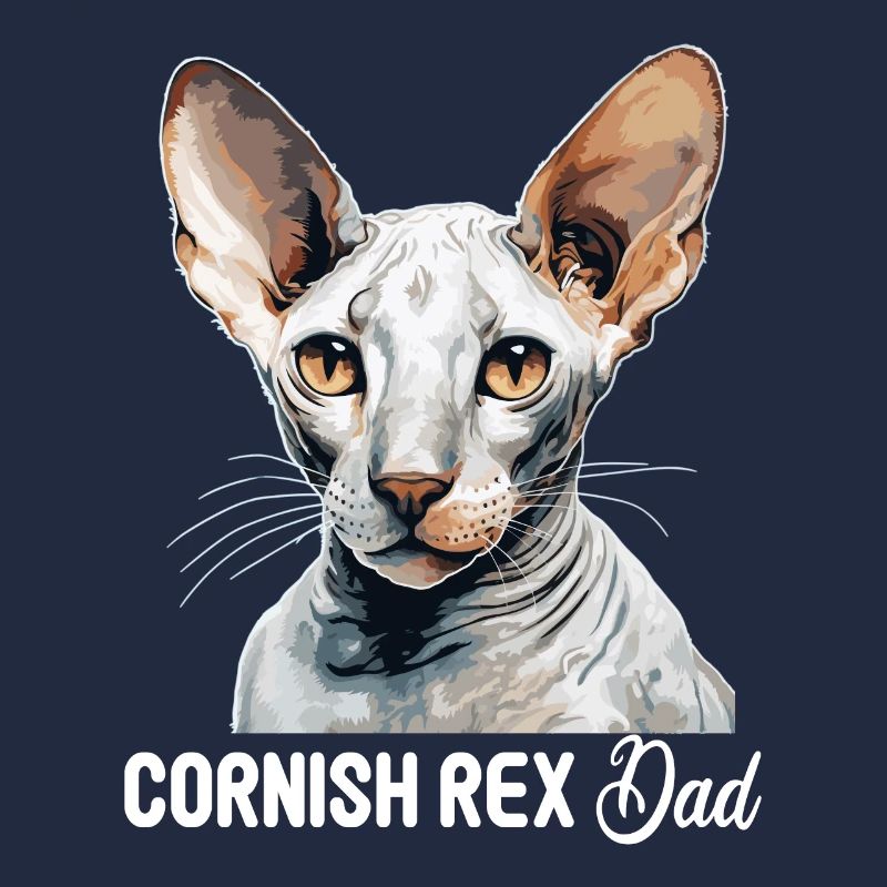 Cornish Rex Kätzchen Cornish Rex Katze