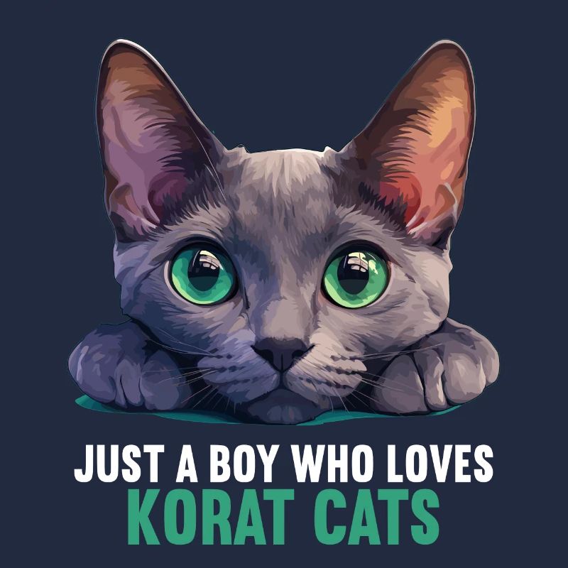 Korat Chaton Korat Chat