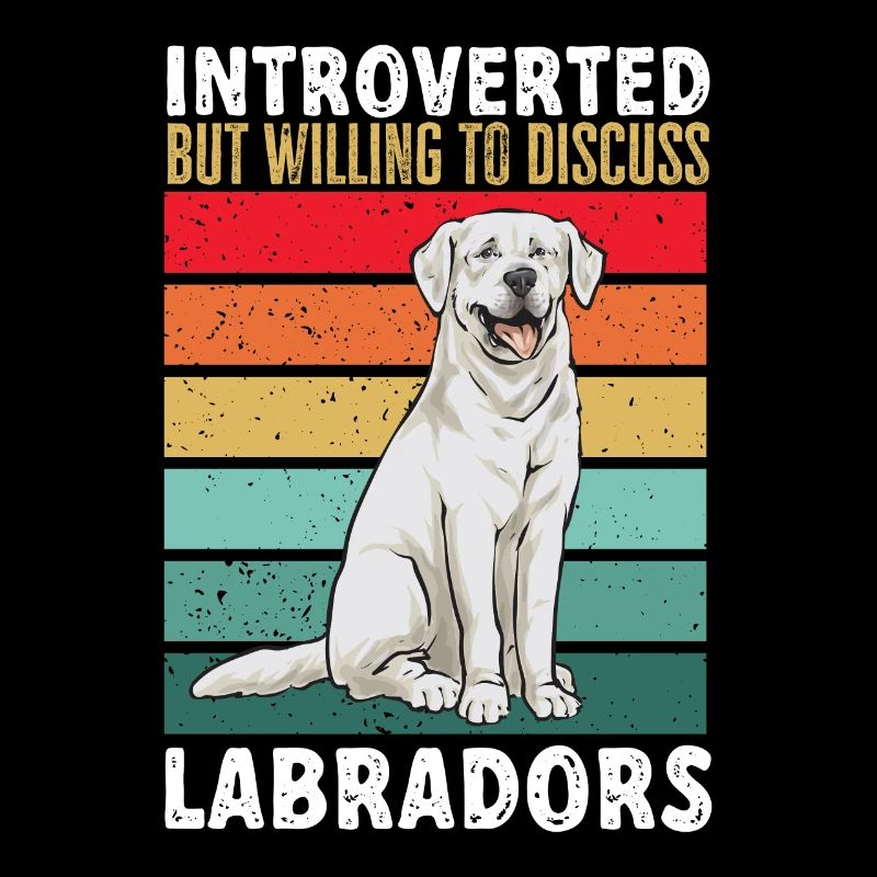 Weißer Labrador Retriever Weißer Lab