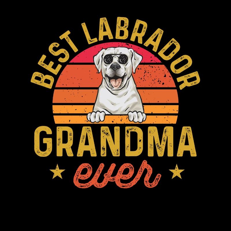 Labrador Retriever blanc Labrador Labrador blanc