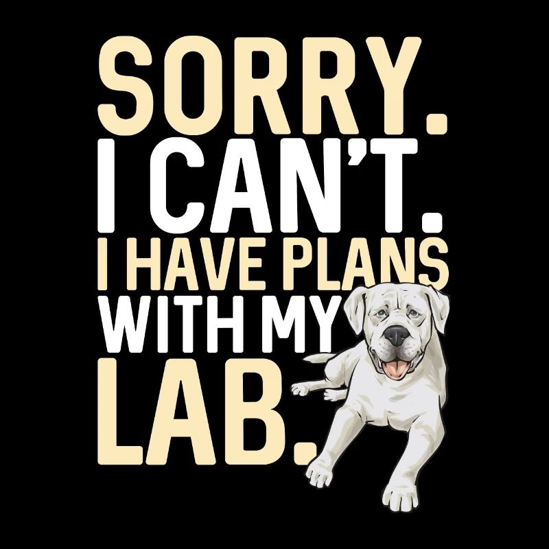 Labrador Retriever blanc Labrador Labrador blanc