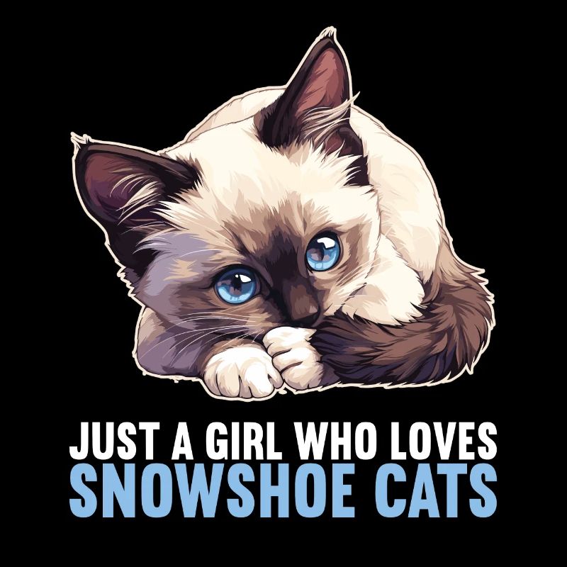 Chaton raquette Chat raquette