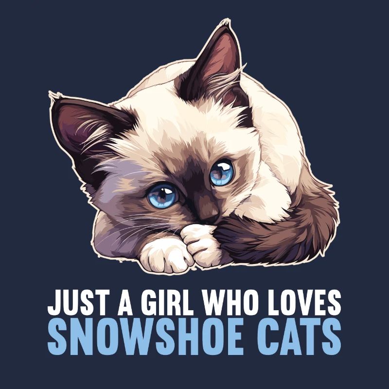 Chaton raquette Chat raquette