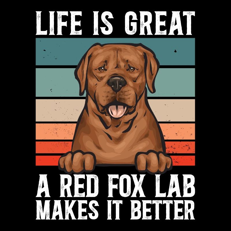 Fuchsroter Labrador Retriever Fox Red Labrador