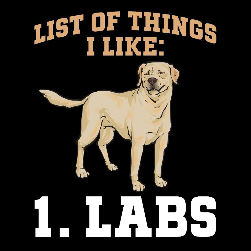 Yellow Labrador Retriever