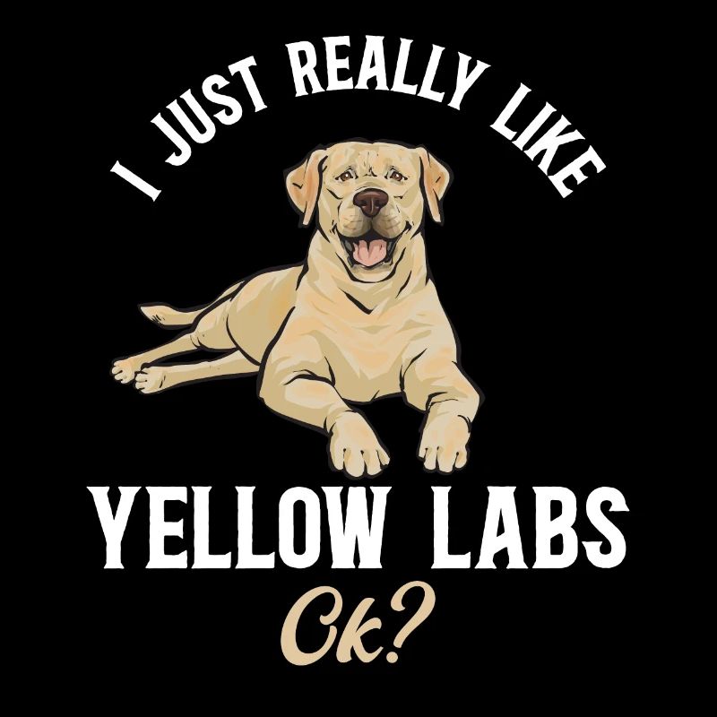 Yellow Labrador Retriever