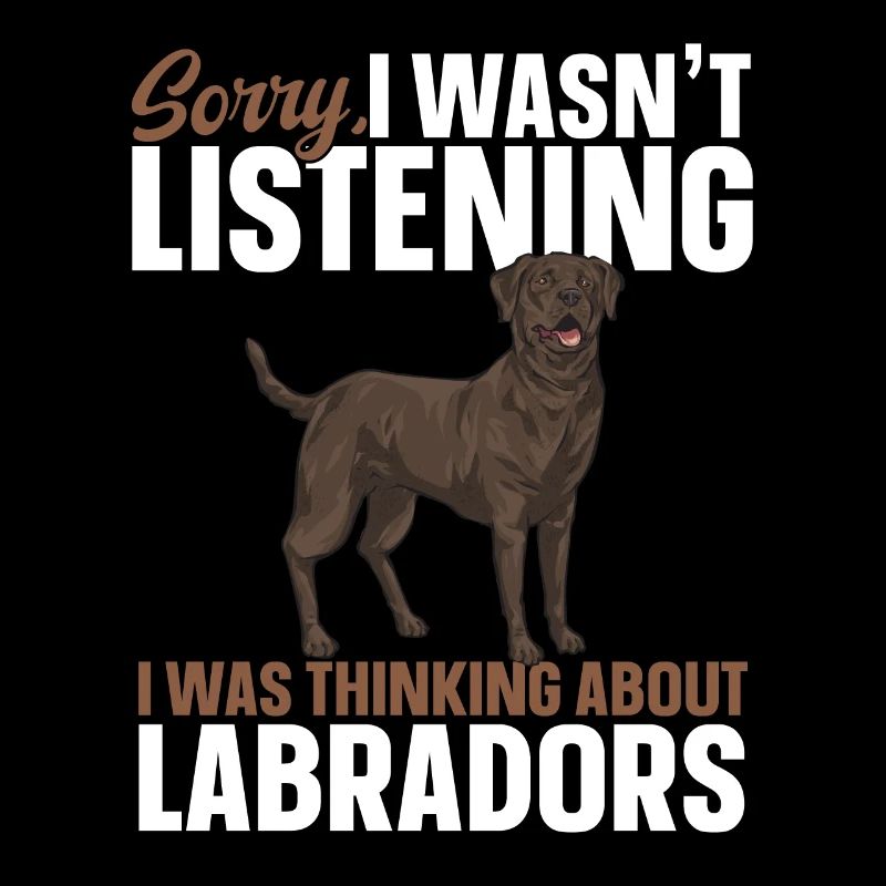 Chien Labrador Retriever brun chocolat