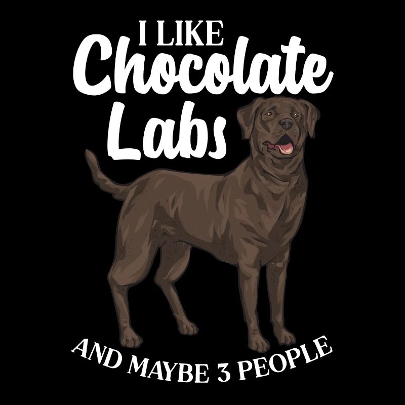 Chien Labrador Retriever brun chocolat