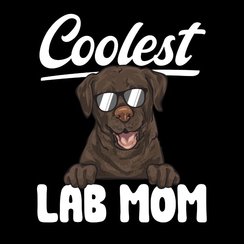 Chien Labrador Retriever brun chocolat
