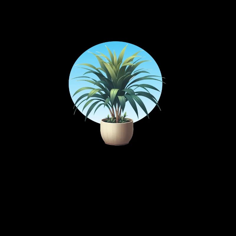 Dracaena plant in pot