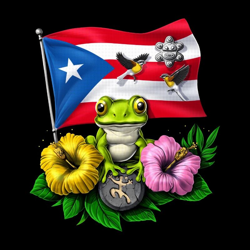 Porto Rico Drapeau Boricua