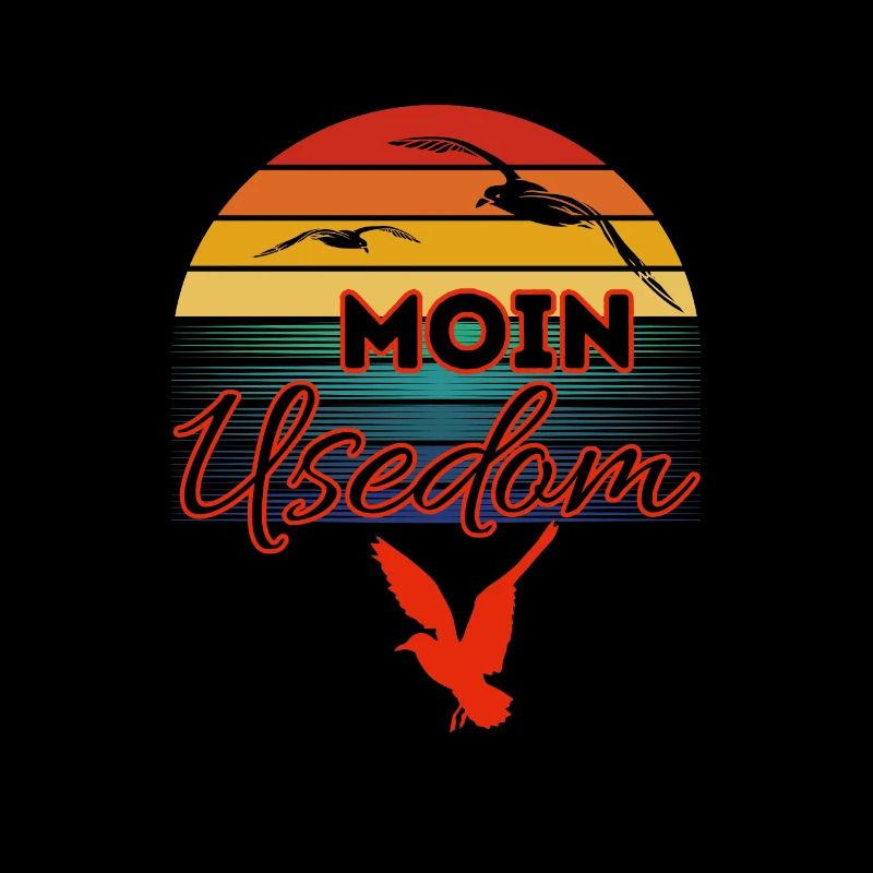 Moin Usedom avec mouette dans l’île de style rétro Usedom