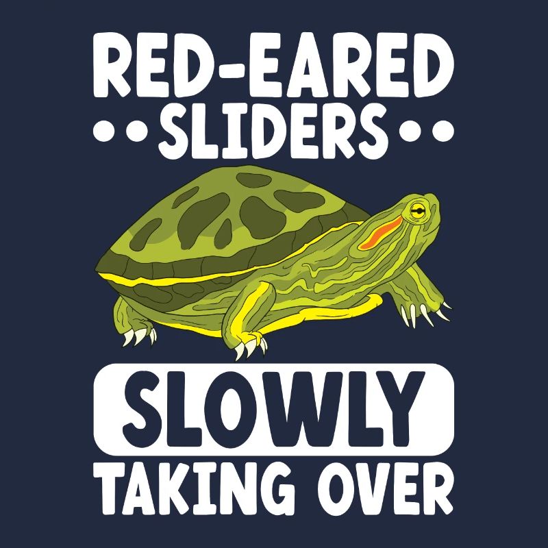 Turtle Red-eared Turtle