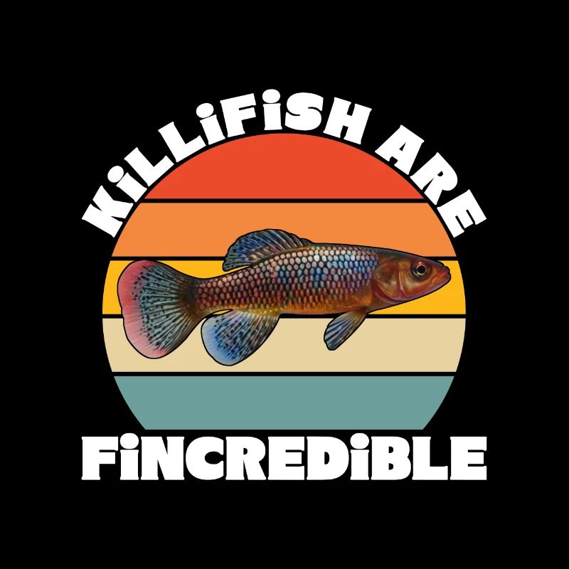 Killifish Quarium Fish