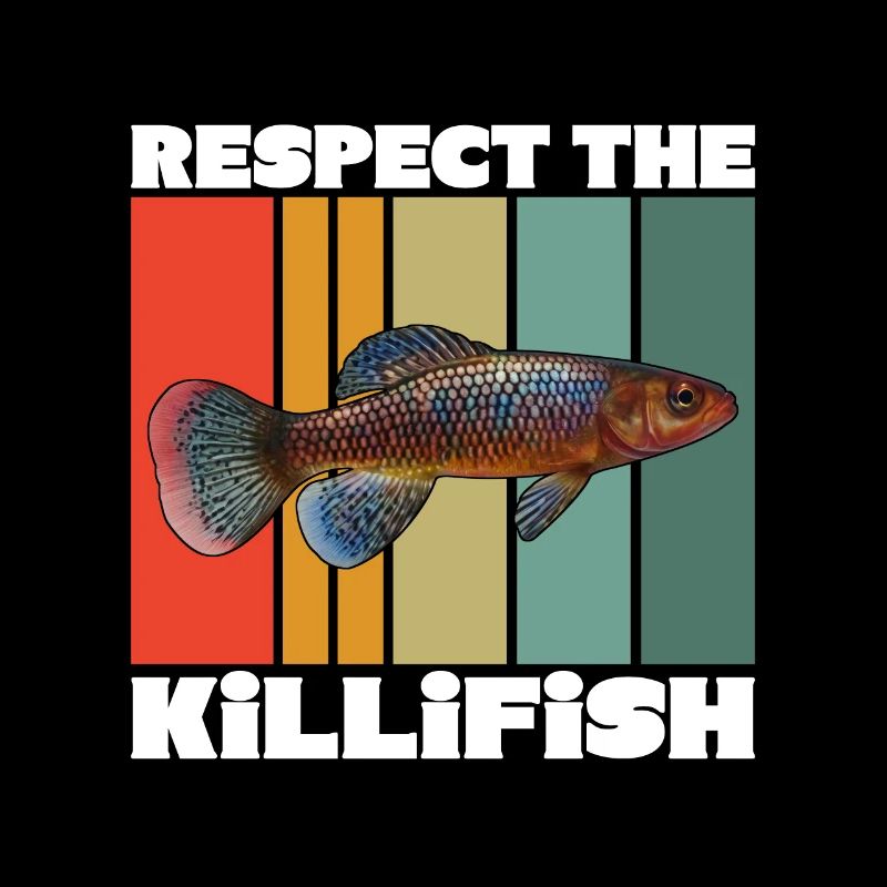 Killifish Quarium Fish
