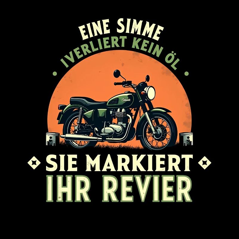 Simson DDR Moped Simson fan s51 ddr