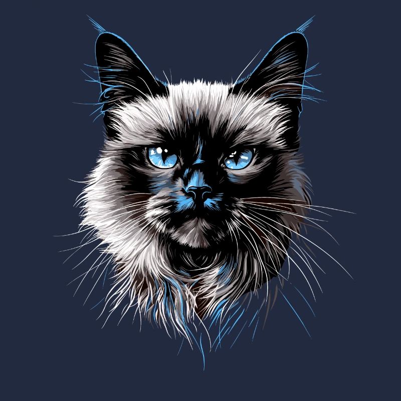 Birman Cat Sacred Birman Cat Cute Birman Cats