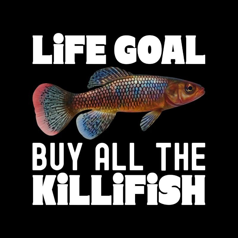 Killifisch Aquarium Fish Lovers
