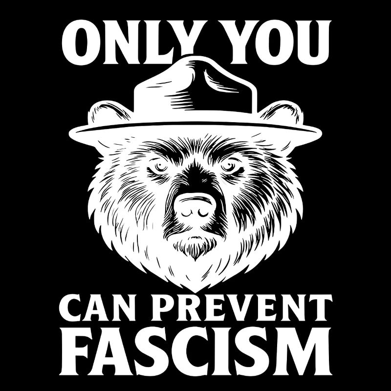 Nur Du Kannst Faschismus Verhindern Statement