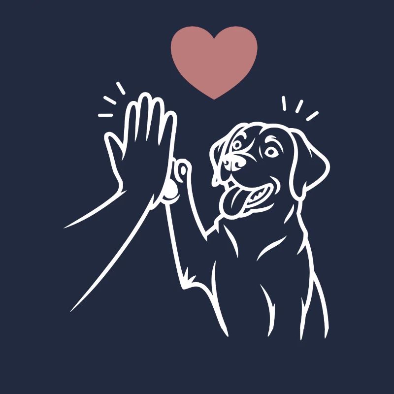 Labrador high five