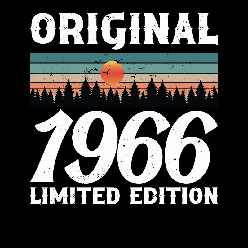 Originales Retro-Vintage-Geburtstagsgeschenk von 1966